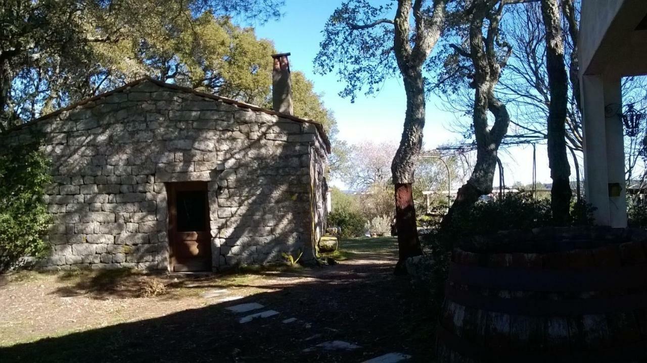 Agriturismo La Vigna Tempio Pausania Exterior photo