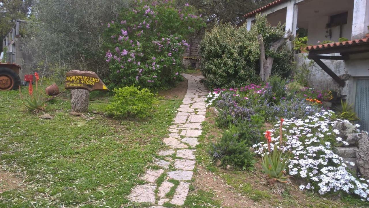 Agriturismo La Vigna Tempio Pausania Exterior photo